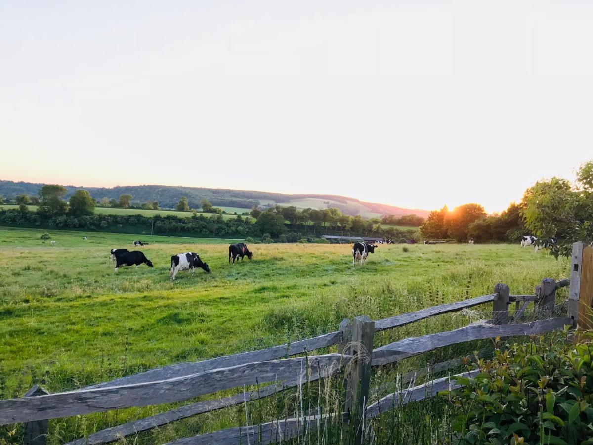 Bed and Breakfast The Cow Hide Arundel Exterior foto